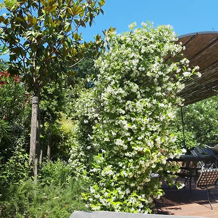 La Douceur - 8p - Maison Familiale Avec Jardin