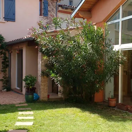 La Douceur - 8p - Maison Familiale Avec Jardin * Blagnac